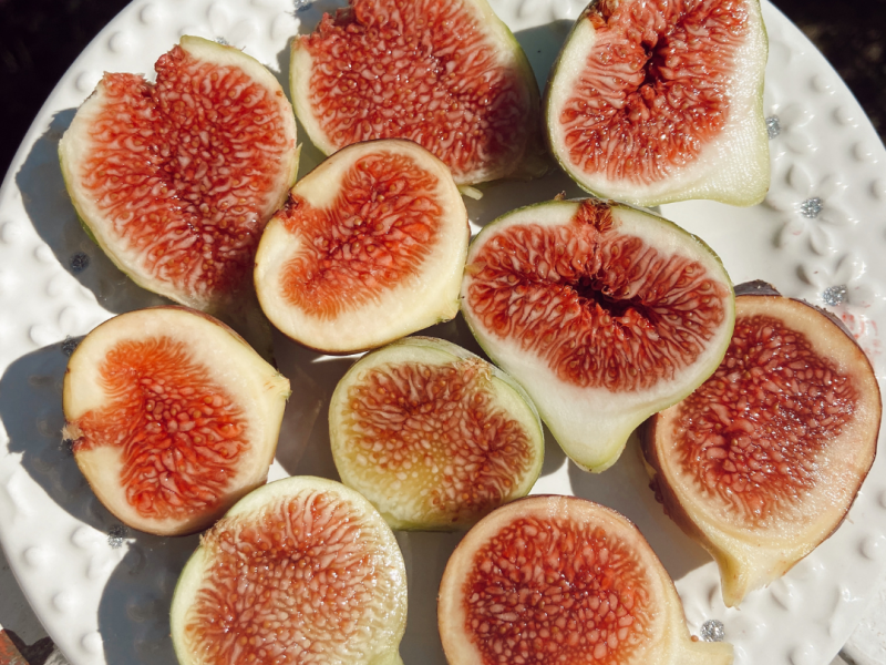 Les nutriments clés pour booster la fertilité féminine et&nbsp;masculine