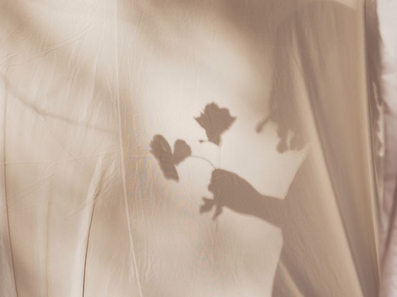 Zoom sur la&nbsp;thyroïde