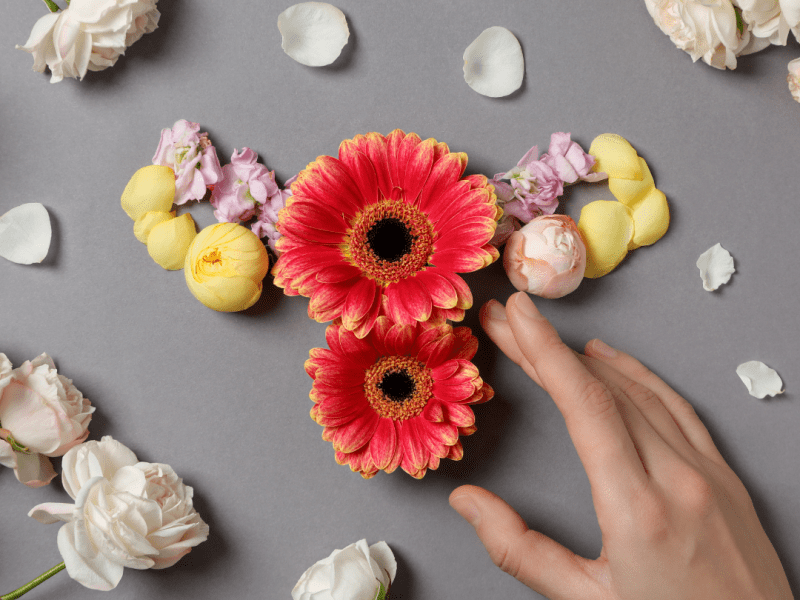 Comprendre le Syndrome des Ovaires Polykystiques&nbsp;(SOPK)