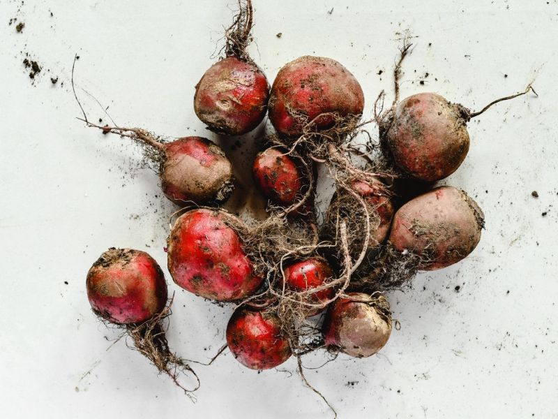 Nutrition & Fertilité&nbsp;Masculine