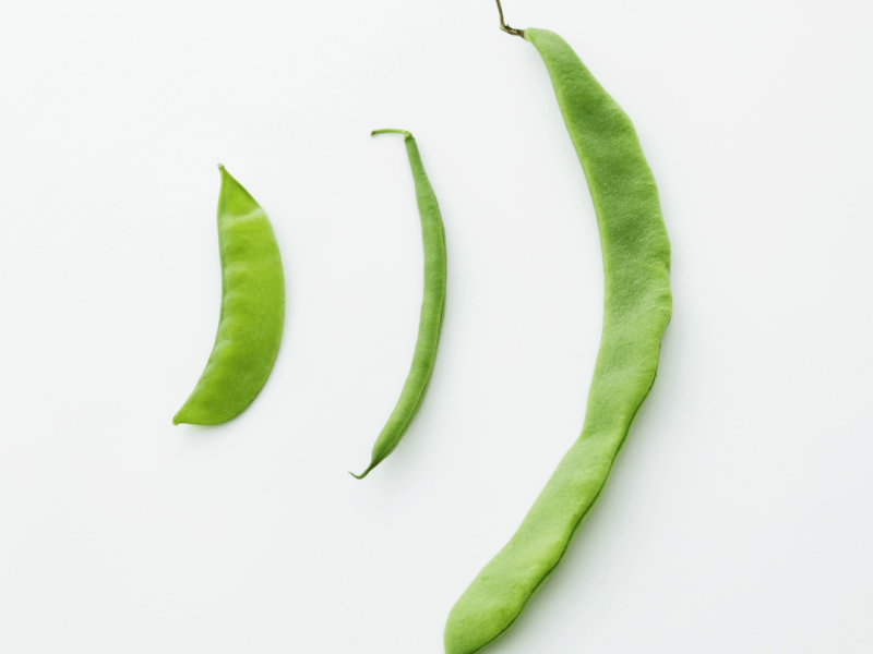 La mutation du gène MTHFR &&nbsp;Nutrition